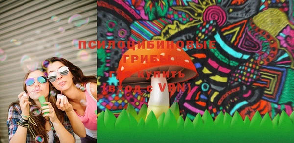 ешки Абаза